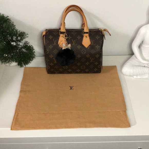 💙LV Vintage Dustbag ( Item #13 ) - Picture 1 of 10